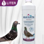 Flasche Aqua Electra mit 1 Liter Inhalt für Taubenpflege neben einer Taube. Ideal zur Unterstützung der Gesundheit und Vitalität von Tauben.