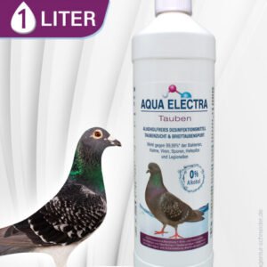 Flasche Aqua Electra mit 1 Liter Inhalt für Taubenpflege neben einer Taube. Ideal zur Unterstützung der Gesundheit und Vitalität von Tauben.