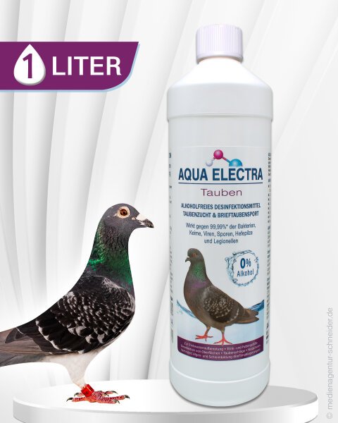 Flasche Aqua Electra mit 1 Liter Inhalt für Taubenpflege neben einer Taube. Ideal zur Unterstützung der Gesundheit und Vitalität von Tauben.