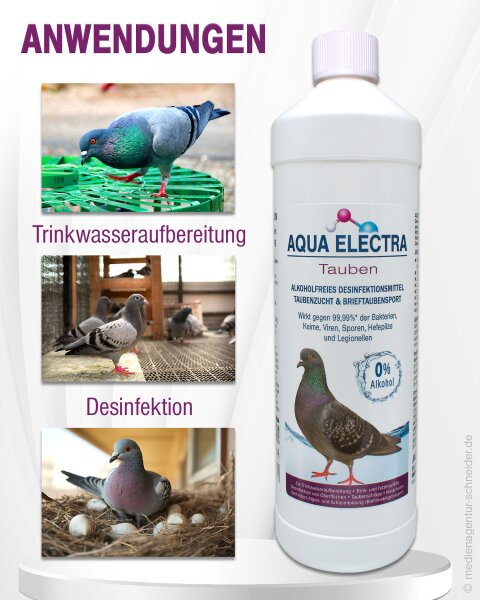 Flasche Aqua Electra zur Trinkwasseraufbereitung und Desinfektion für Tauben, um die Gesundheit der Vögel zu fördern. Inklusive Bildern von Tauben und Anwendungsbereichen.